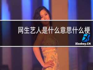 网生艺人是什么意思什么梗