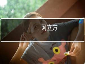 网立方