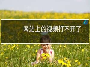 网站上的视频打不开了-云服务器问题