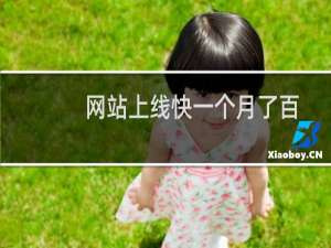 网站上线快一个月了百度还是不收录