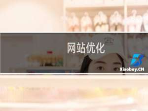 网站优化 青岛