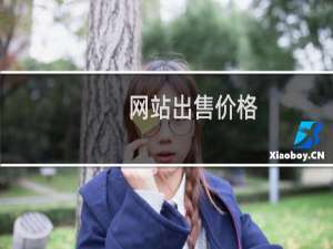 网站出售价格