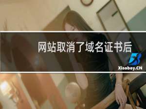 网站取消了域名证书后无法打开网站