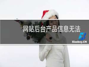 网站后台产品信息无法添加