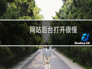 网站后台打开很慢，一直在转