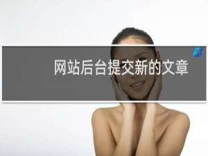 网站后台提交新的文章后显示这个截图