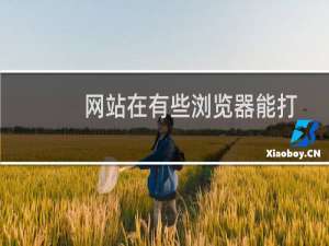 网站在有些浏览器能打开有些却打不开怎么办?