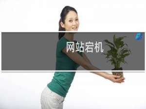 网站宕机，301无法实现跳转