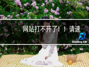 网站打不开了！！请速处理！！