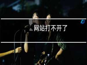 网站打不开了，麻烦查下什么原因