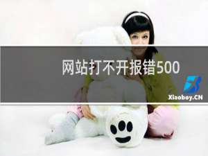 网站打不开报错500-云服务器问题