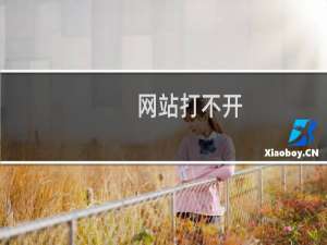 网站打不开，又死机了，老问题