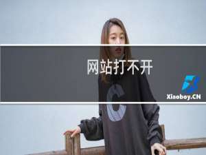 网站打不开，同一服务器其它站点正常