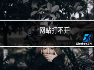 网站打不开，帮助解决病毒问题