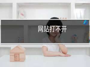 网站打不开，无法进行短信核验！