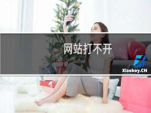 网站打不开，电话了你们技术，要求提交工单