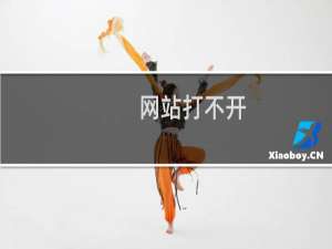 网站打不开，请帮我查明情况
