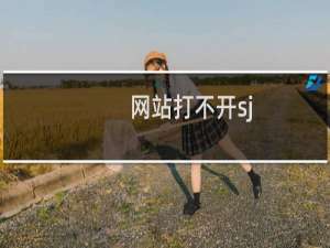 网站打不开sj.shhmu.cn