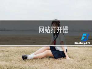 网站打开慢，有时还打不开