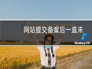 网站提交备案后一直未审核