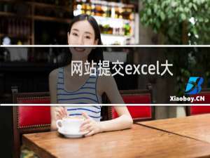 网站提交excel大量数据