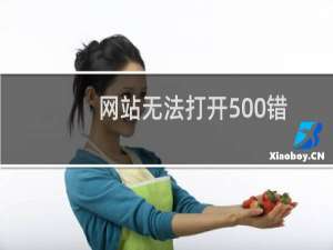 网站无法打开500错误