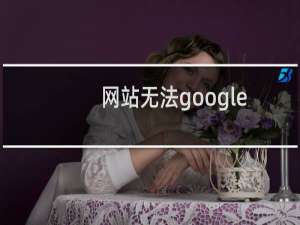 网站无法google推广