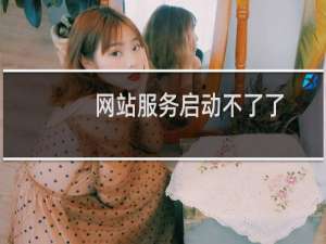 网站服务启动不了了，帮看看