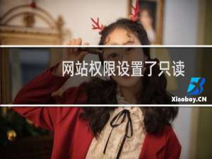 网站权限设置了只读，我无法操作权限