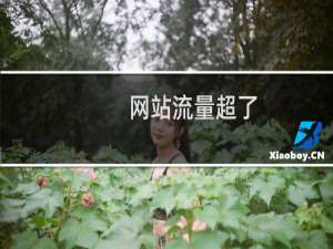 网站流量超了，六月份消耗的流量比七月份还多。怎么七月份的消耗