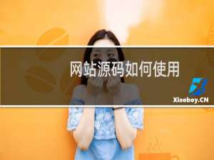 网站源码如何使用