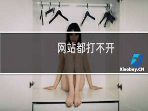 网站都打不开，远程也登录不了服务器。