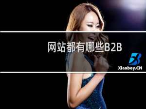 网站都有哪些B2B