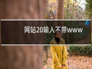 网站 输入不带www的域名打不开