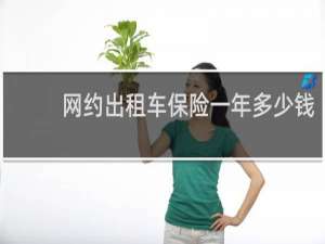 网约出租车保险一年多少钱