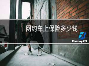 网约车上保险多少钱