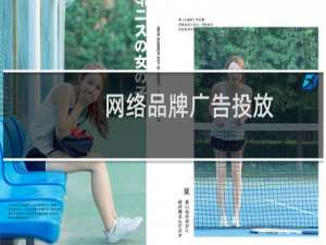 网络品牌广告投放