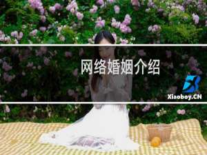 网络婚姻介绍