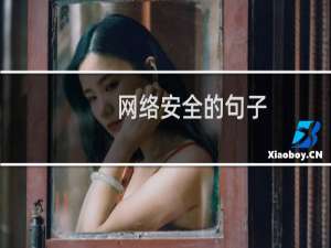 网络安全的句子