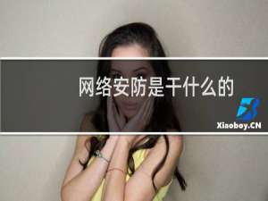 网络安防是干什么的