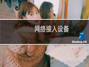 网络接入设备