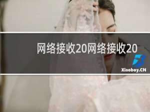 网络接收 网络接收 怎么理解