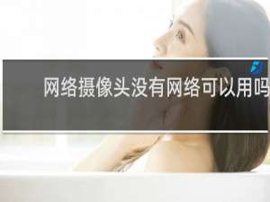 网络摄像头没有网络可以用吗