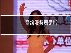 网络服务器是指