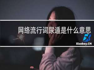 网络流行词尿遁是什么意思，表达的是什么意思什么梗