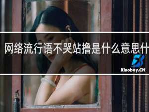 网络流行语不哭站撸是什么意思什么梗