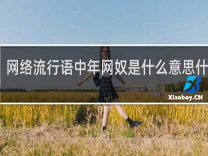 网络流行语中年网奴是什么意思什么梗