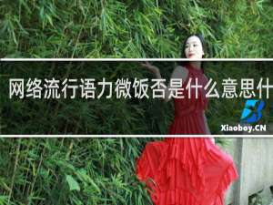 网络流行语力微饭否是什么意思什么梗