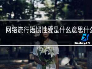 网络流行语惯性爱是什么意思什么梗