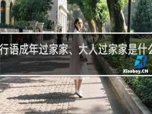 网络流行语成年过家家、大人过家家是什么意思什么梗